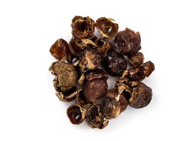 Soap Nuts